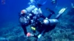 Романтический дайвинг на Ко-Чанге | Romantic Diving in Koh C...