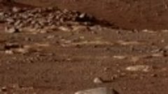 Новое видео поверхности Марса от марсохода Perseverance