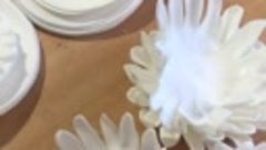 Видеообзор как я делаю хризантемы 🤗