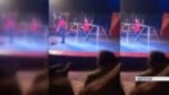 В Боготоле в цирке-шапито леопард напал на зрителей