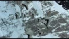 Андрей Дубов - Птица в клетке