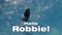 Robbie, a fóka 6.10 HDTV
