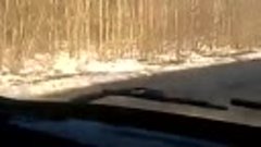 VID-20170107-WA0001