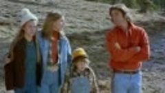 as novas aventuras da família robinson 1978 dublado em espan...