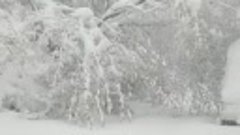 Снегопад в Кишинев Молдова  это катастрофа