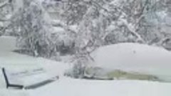 Снегопад в Кишинев Молдова катастрофа.