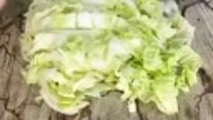 Витаминный салат  с пекинской капустой