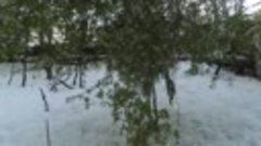 Последствия снегопада в Кишинев Молдова.22 АПРЕЛЯ
