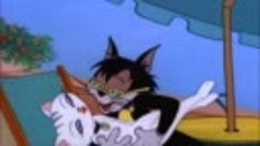 Tom &amp; Jerry - Gato Desiludido