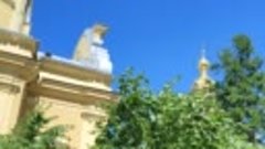 Звон колоколов в Петропавловской крепости