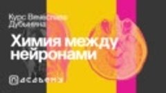 «Химия между нейронами: вещества, которые управляют нами»