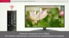 LG VideoLG TV   Как я могу использовать функцию Magic Zoom