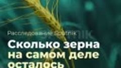 Спасёт ли Украина мир от голода?