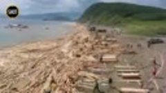 Деревянный пляж появился в Приморье у посёлка Преображение п...