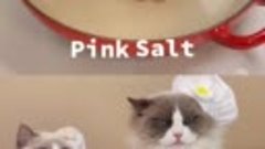 That Little Puff - Mama wants some pink salt #thatlittlepuff...