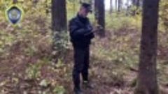 Тела двух мужчин обнаружены в лесу под Минском