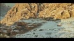 Ралли Дакар по пустыне - Трейлер запуска Игры для PS5 и PS4