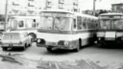 Почему в автобусе Кубань собиралась одна интеллигенция