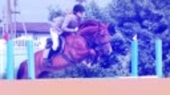 В Брянске пройдет турнир по конному спорту