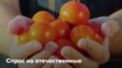 Минсельхоз РФ поддержало призванных аграриев