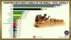 COUNTRIES WITH MOST CAMELS IN THE WORLD - TOTAL ANIMALS