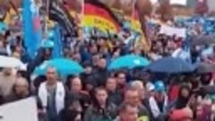 ЕВРОПА ВСЯ В МИТИНГАХ