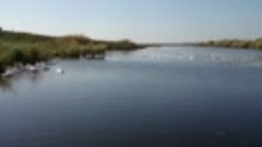 Акция Вода России на страже чистоты рек и озер