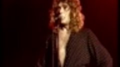 Led Zeppelin   August 4th 1979