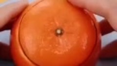 Экспериментируем с апельсинами