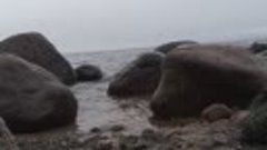 Берег Балтийского моря (финский залив)
