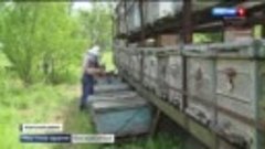 Волгоградские пчеловоды возлагают большие надежды на новый ф...