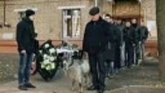 Видео гы гы приколы чёрный юмор 