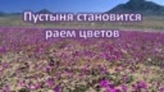 Любить - это значит... (красивая песня)