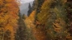 Медитативно-прекрасный листопад поймали в горах Карачаево-Че...
