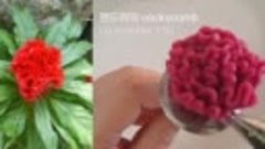 Цветок - красный гребешок петуха (насадка 150 цветочный лепе...
