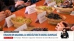 Strugurii din Republica Moldova, la mare căutare în Uniunea ...