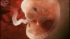 Беременность- от зачатия до родов (4-минутное анимационное в...