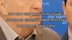 Жириновский всегда прав!!!