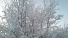 Волшебная зима в Гаджиево (ноябрь 2017)