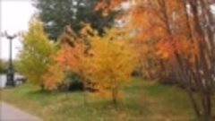 Разноцветная осень в Мурманске