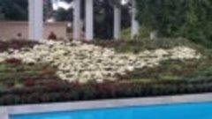 Видео от Никитский ботанический сад (НБС-ННЦ РАН)