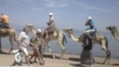 «Диковины Синая(Каньон+Голубая Дыра+Сафари на верблюдах)»