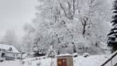 Снежное утро в Леноре (Чехия)