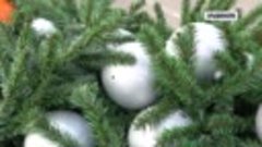 Главную новогоднюю елку Херсонской области собрали в Гениче...