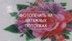 Компания &quot;Инталия&quot;☎️84212-72-05-05 Хабаровск