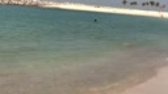 Прекрасный пляж в Дубаи