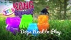 New! KONG Squeezz JELS