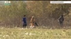 Царская псовая охота прошла в Алтайском крае