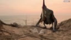 Бухта динозавров (2022) Семейный, Приключения