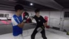 Kickbox und Taekwondo Technik Training (140)